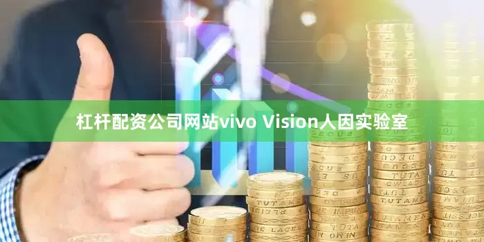 杠杆配资公司网站vivo Vision人因实验室